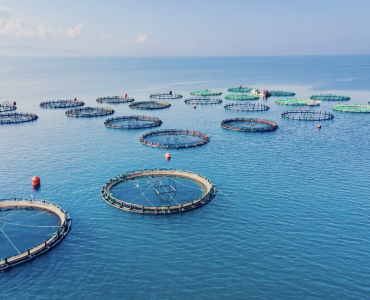 Perspectivas mundiales de la acuicultura 2025